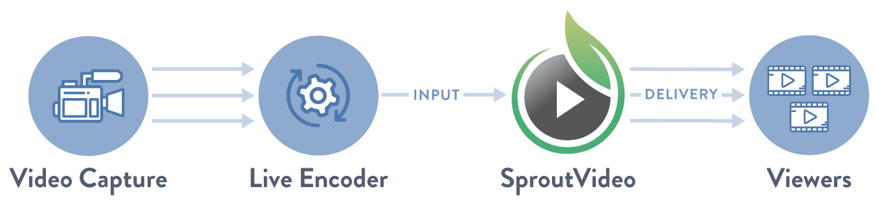 Input and Delivery Minutes Explained