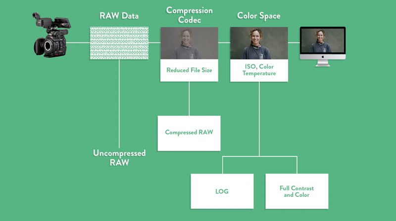 Compression chart