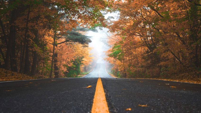 Autumn Road